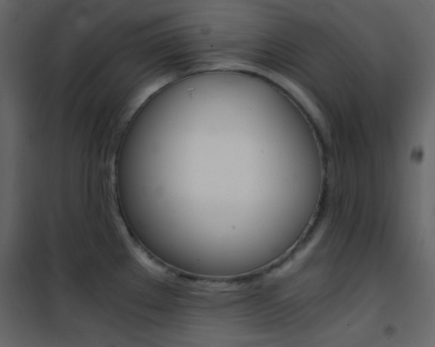 X0000101951289200807171125