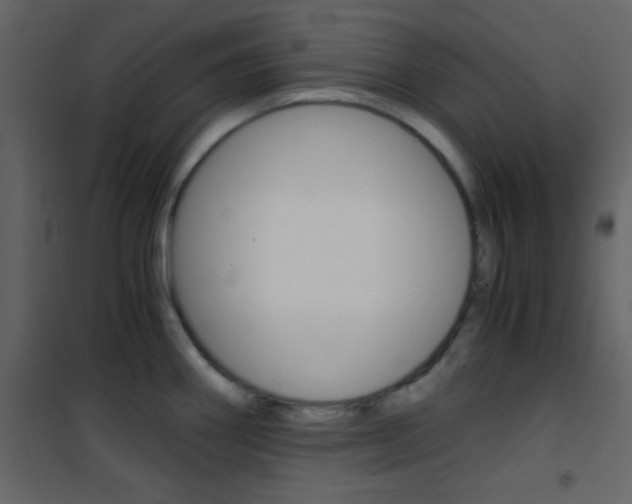 X0000101951290200807171125