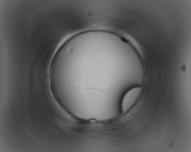 X0000101951291200807171125