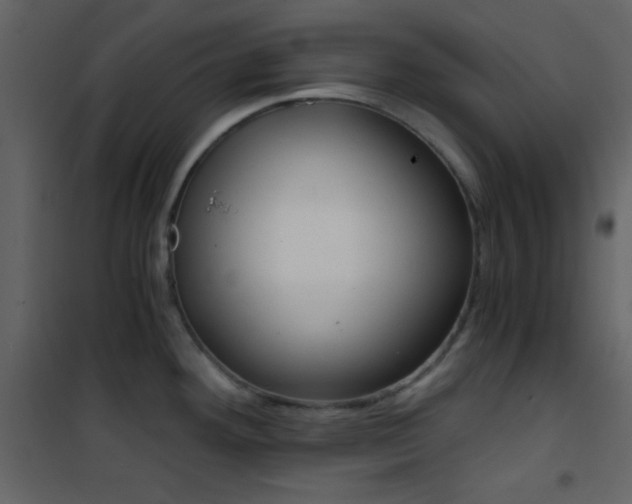 X0000101951292200807171124