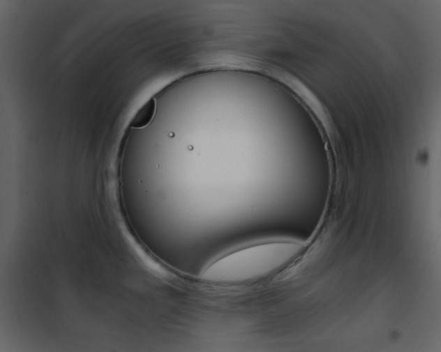 X0000101951293200807171124