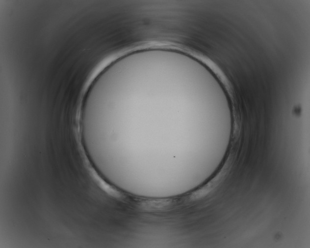 X0000101951294200807171124