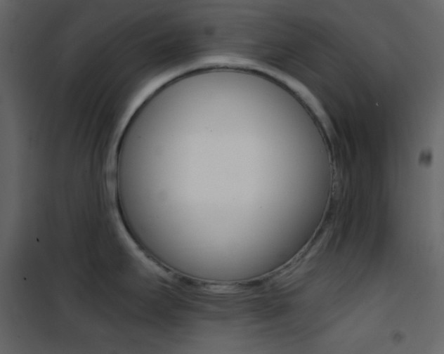 X0000101951295200807171124
