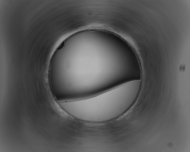 X0000101951296200807171124