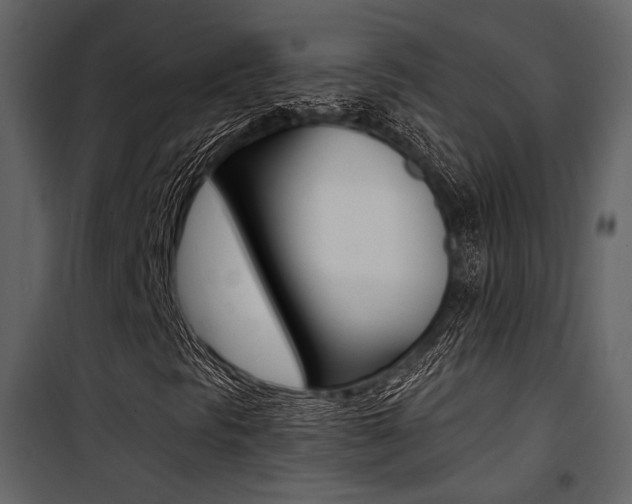 X0000101951297200807171124