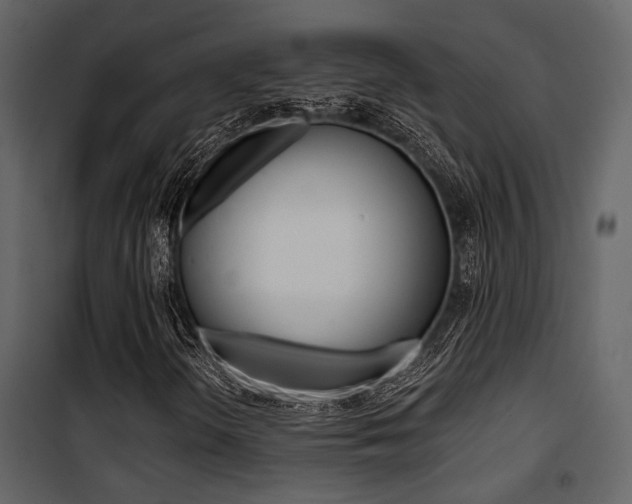 X0000101951298200807171124