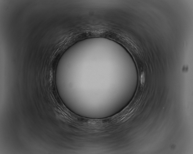 X0000101951299200807171124