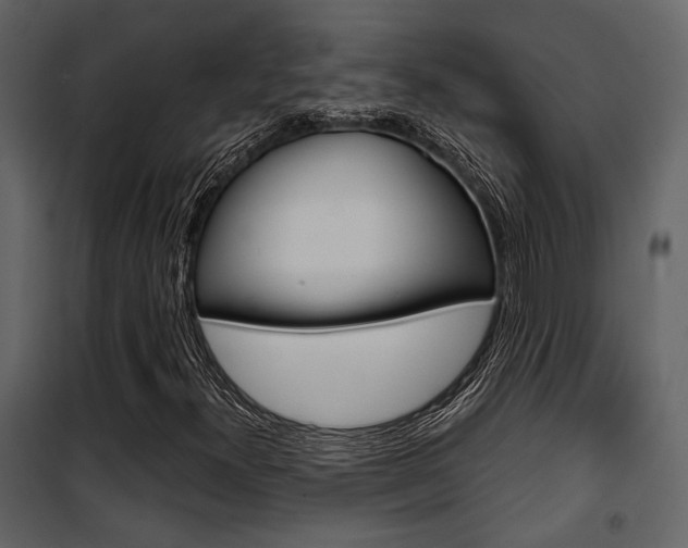 X0000101951300200807171124