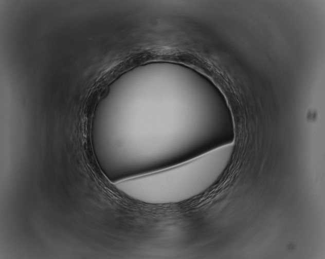 X0000101951301200807171124