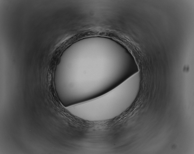 X0000101951302200807171124