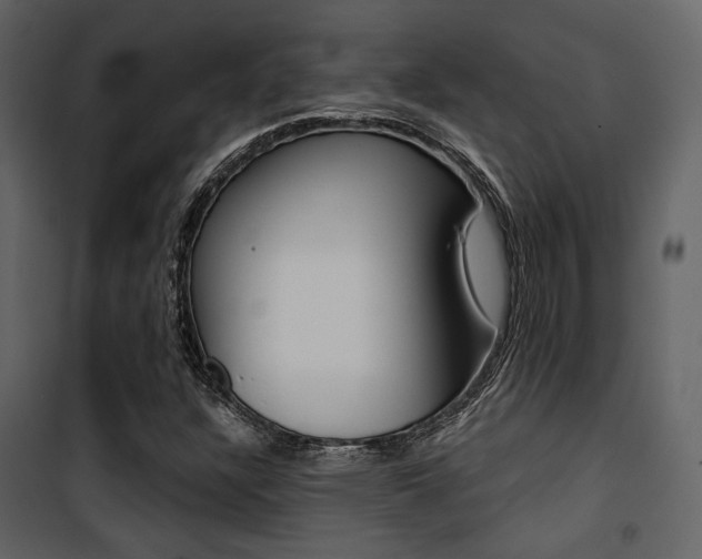 X0000101951304200807171124