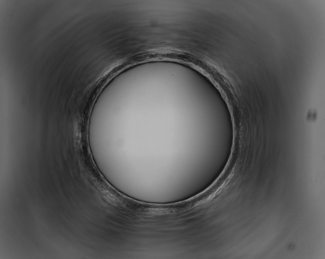 X0000101951305200807171124