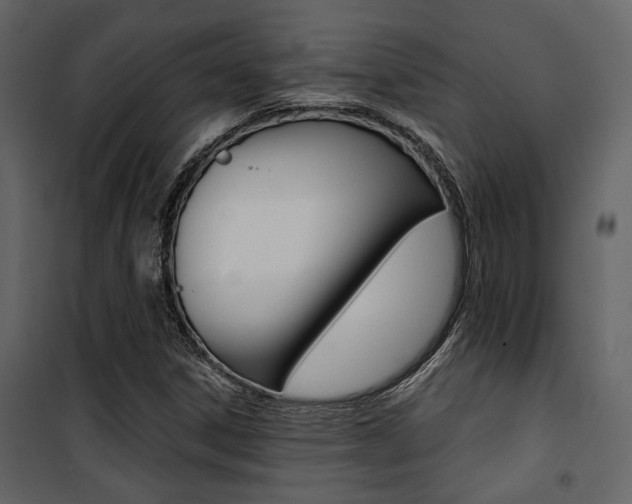 X0000101951306200807171124