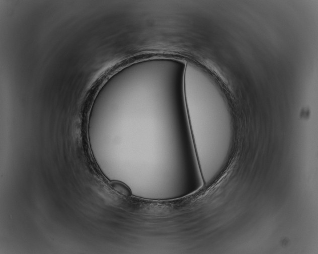 X0000101951307200807171124