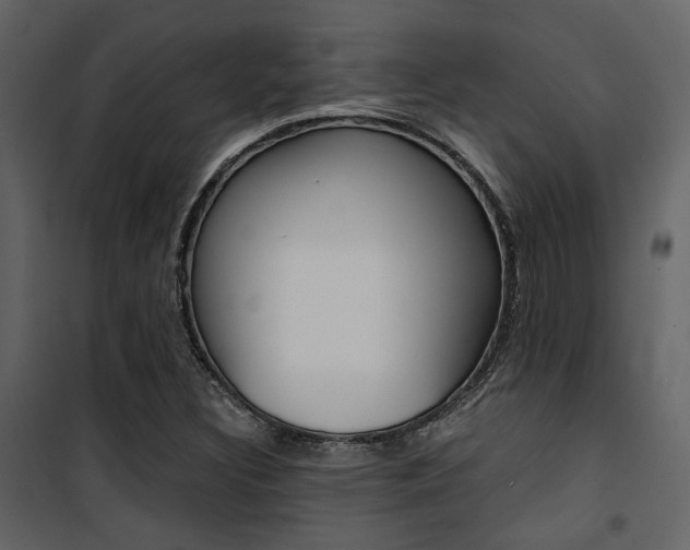 X0000101951308200807171124