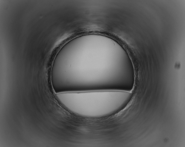 X0000101951309200807171124