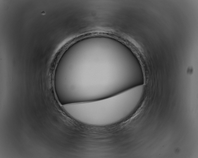 X0000101951310200807171124