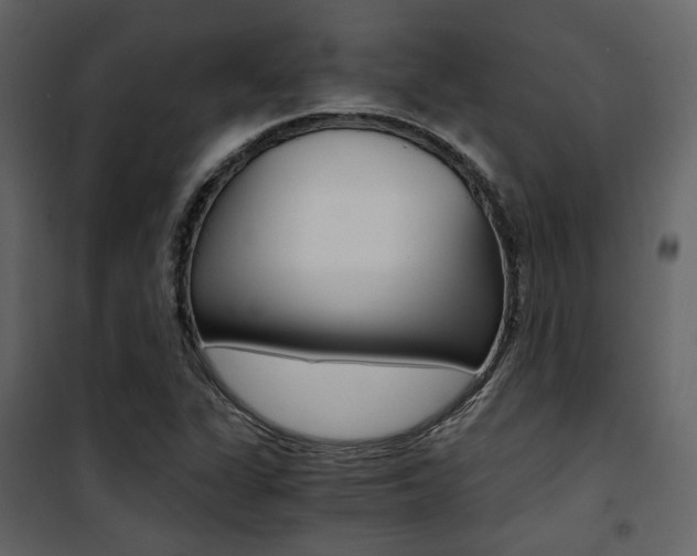 X0000101951311200807171124