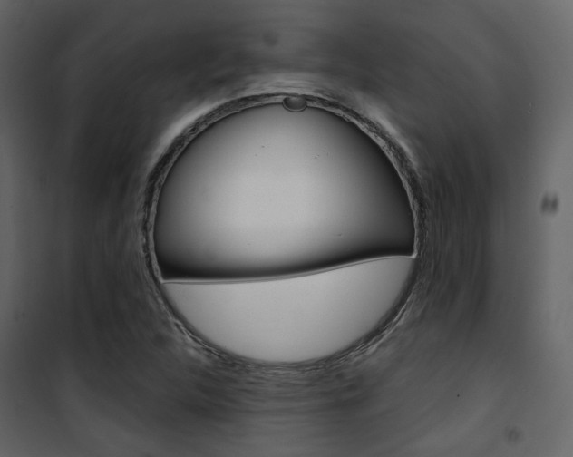 X0000101951312200807171124