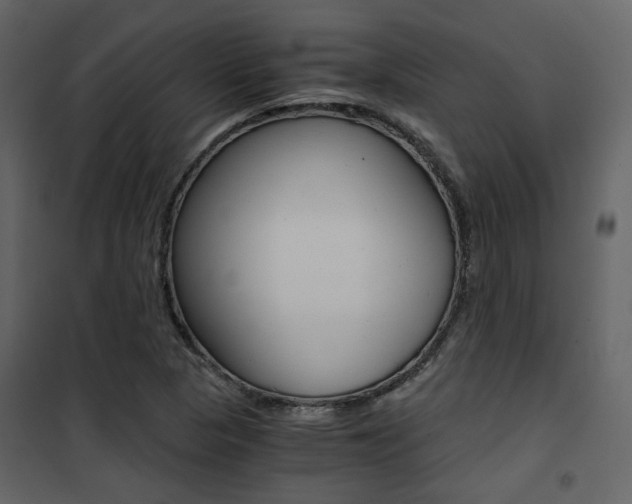 X0000101951313200807171124