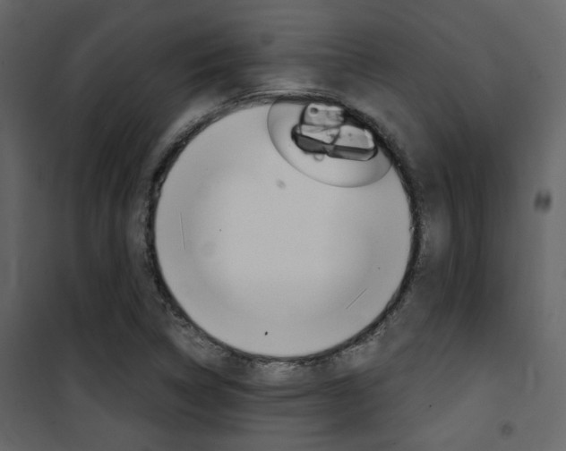 X0000101951314200807171124