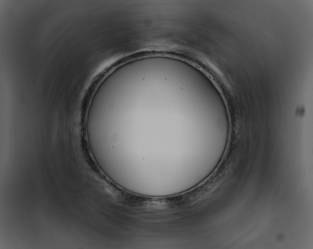 X0000101951315200807171124