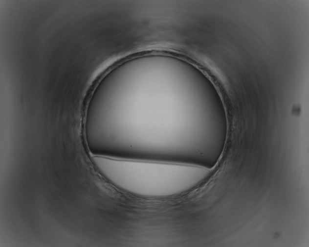 X0000101951316200807171124