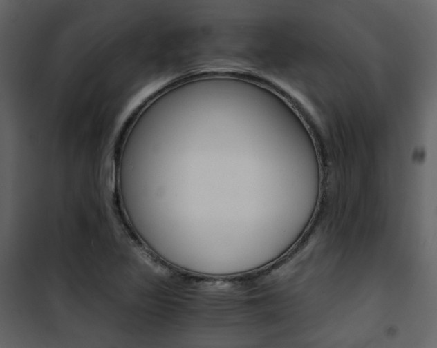 X0000101951317200807171124