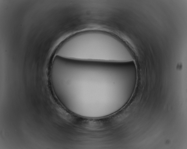 X0000101951318200807171124