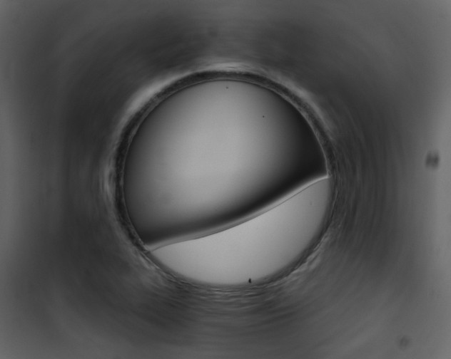 X0000101951319200807171124