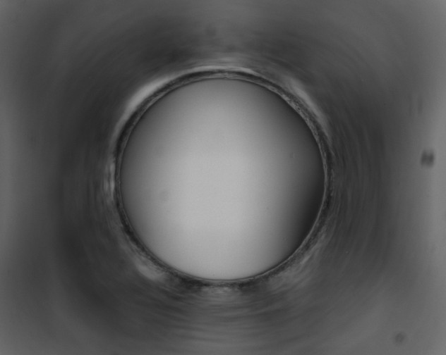X0000101951320200807171124