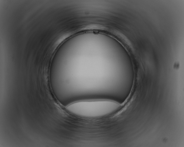 X0000101951321200807171124