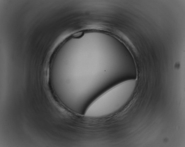 X0000101951323200807171124
