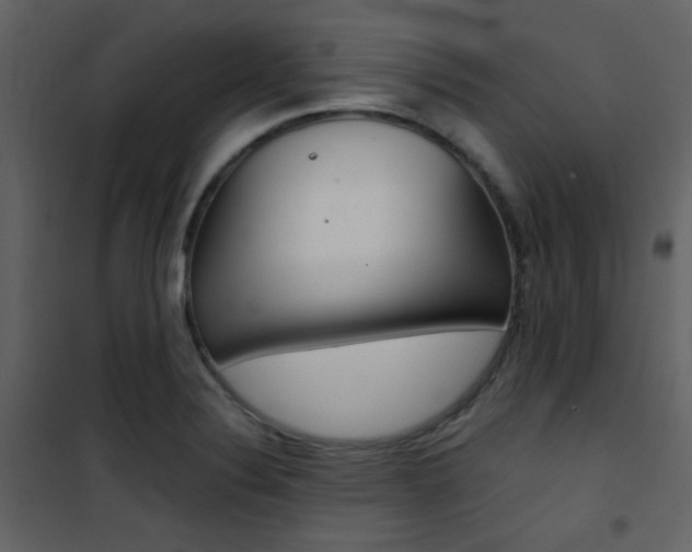 X0000101951324200807171124