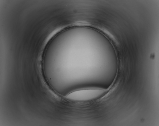 X0000101951325200807171124