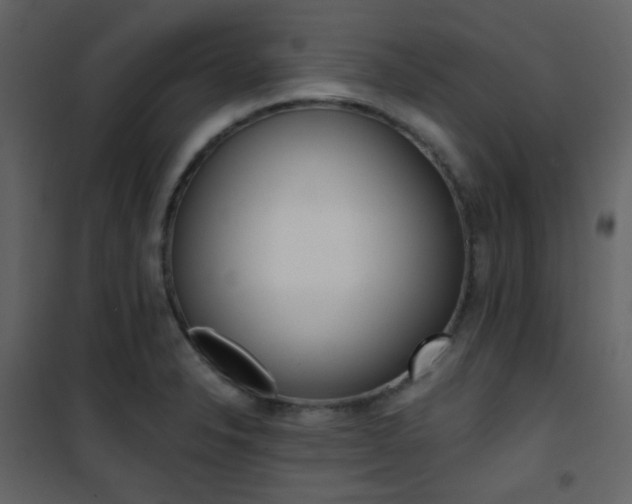X0000101951326200807171124