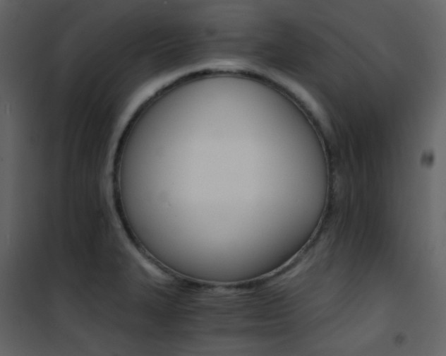 X0000101951327200807171124