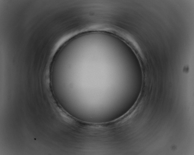 X0000101951328200807171124