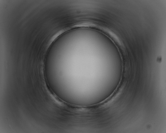 X0000101951329200807171124