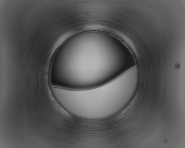 X0000101951330200807171124