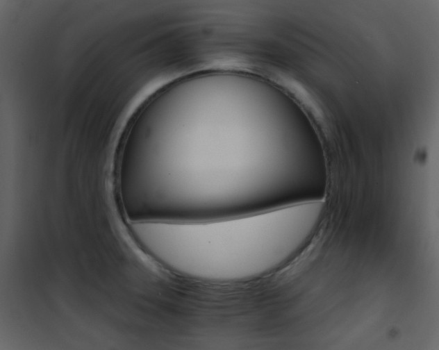X0000101951331200807171124