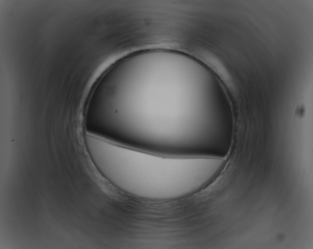 X0000101951332200807171124