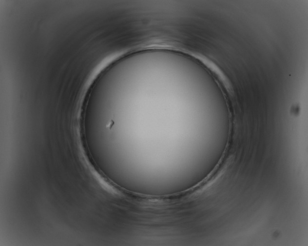 X0000101951333200807171124
