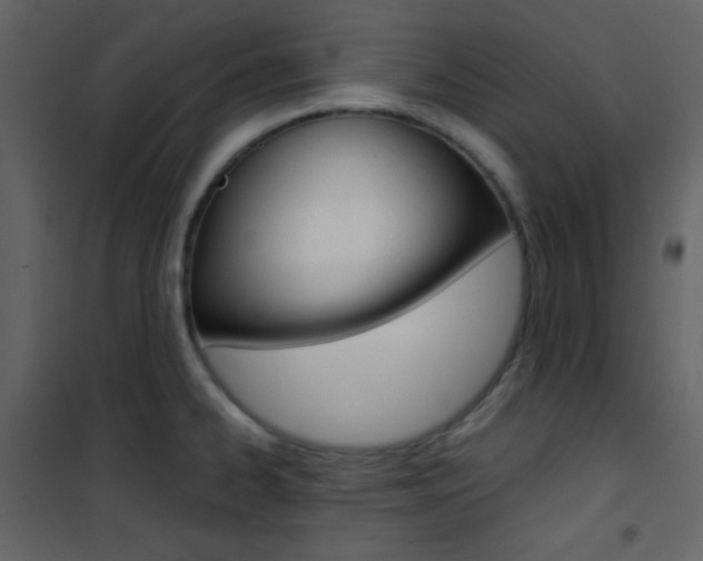 X0000101951334200807171124