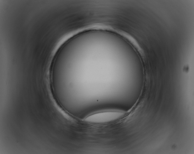 X0000101951335200807171124