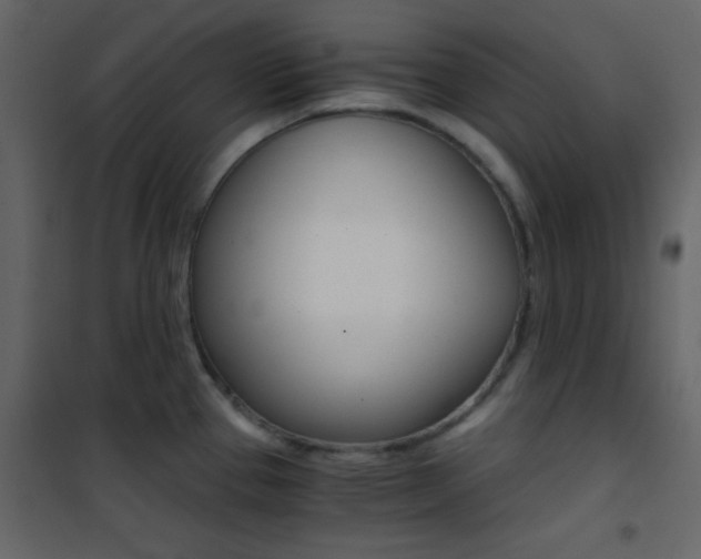 X0000101951337200807171124