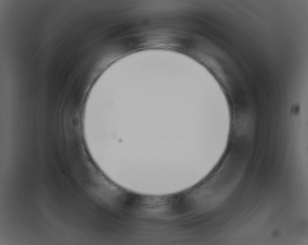 X0000101951338200807171124