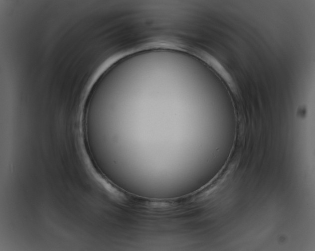 X0000101951339200807171124