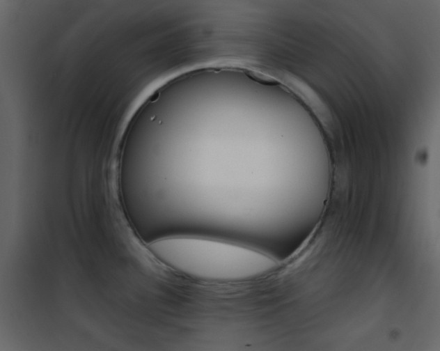 X0000101951340200807171124