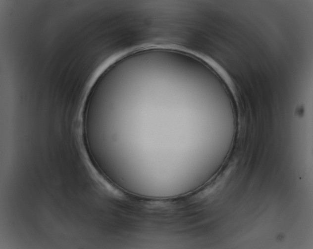 X0000101951341200807171124